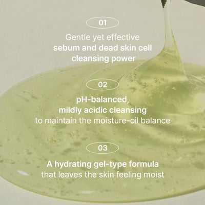 Shaishaishai Green Papaya pH Balanced Face Cleanser, 150ml - Image 3