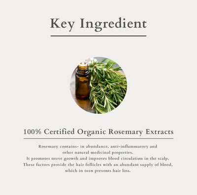 Lotus Organic Hair Fall Control Revival Mask - Hair Treatment, 150ml - Image 5