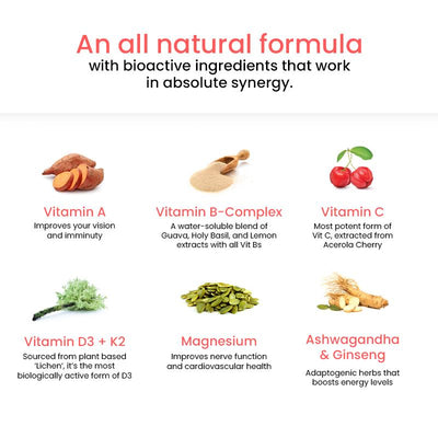 Wellbeing Nutritions Melts Instant Energy +Multivitamin