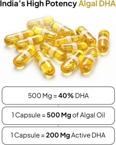 Miduty Veg Omega-3 Capsules - 500mg Algal DHA & EPA, 30 Pack - Image 2