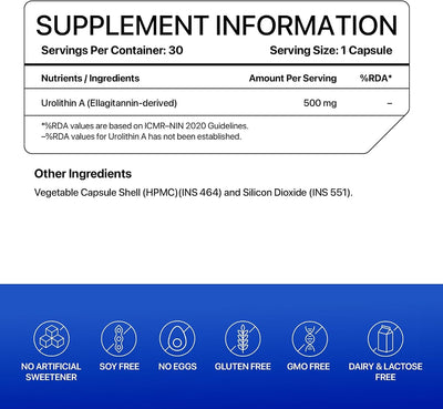 Decodeage Urolithin A Capsules - Longevity Supplement, 500mg, 30 Count - Image 7