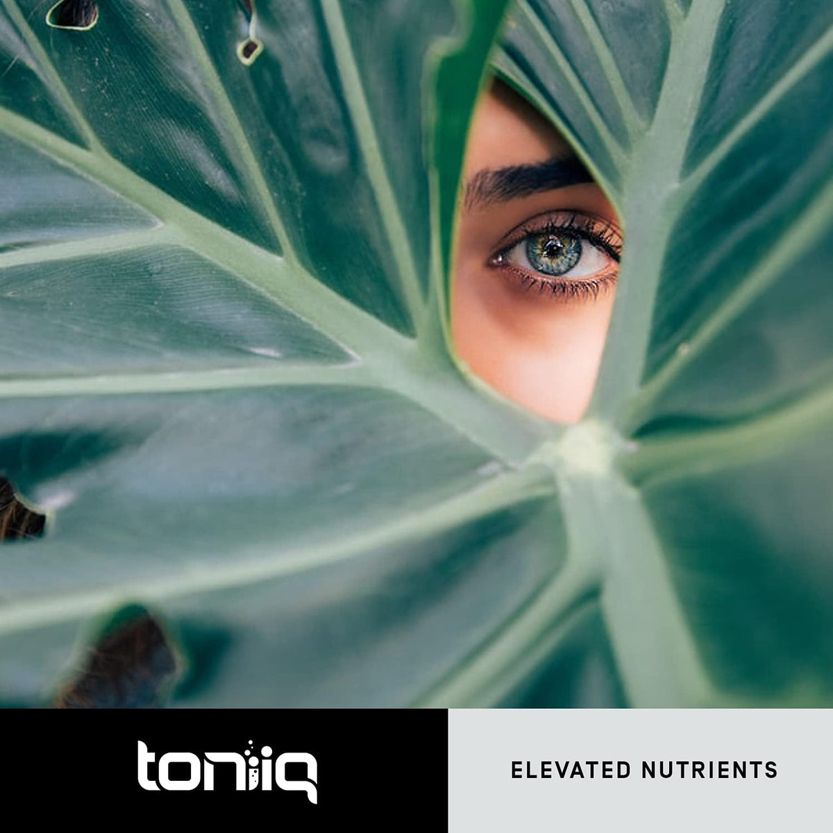 Toniiq Ultra High Purity Resveratrol Capsules - Beauty Supplement - Image 8
