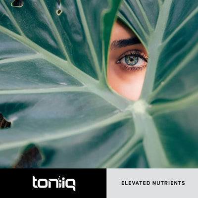 Toniiq Ultra High Purity Resveratrol Capsules - Beauty Supplement - Image 8