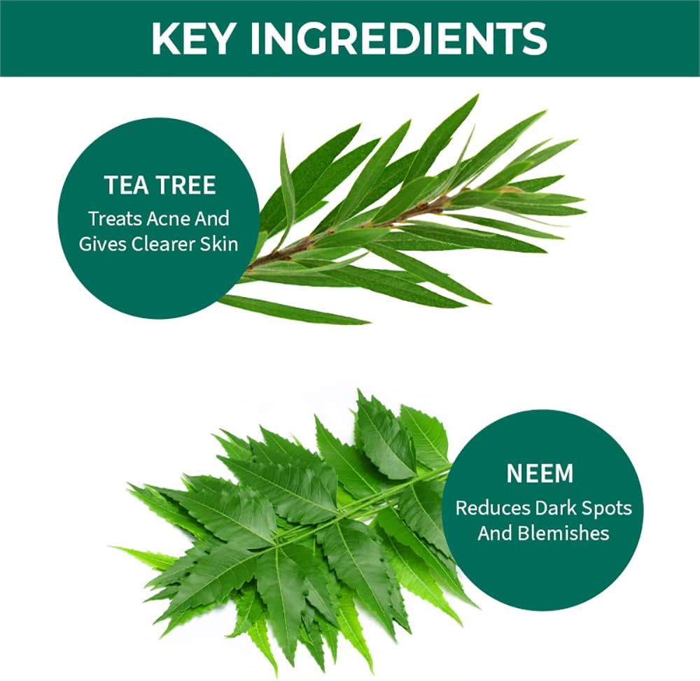 Nykaa Naturals Tea Tree & Neem Purifying Face Wash - 100ml - Image 4