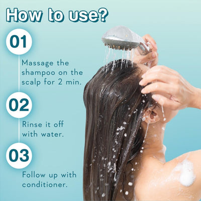  - Image 7