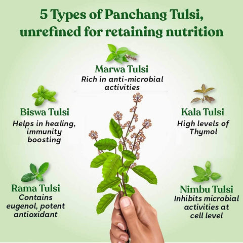 Pure Tulsi Ark Drops 30 ml