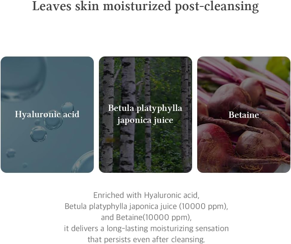  - Image 7