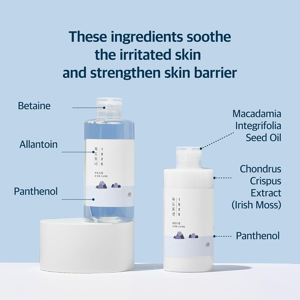 Round Lab 1025 Dokdo Toner & Lotion Set - Mineral-Rich Hydration Duo, 200ml Each - Image 3
