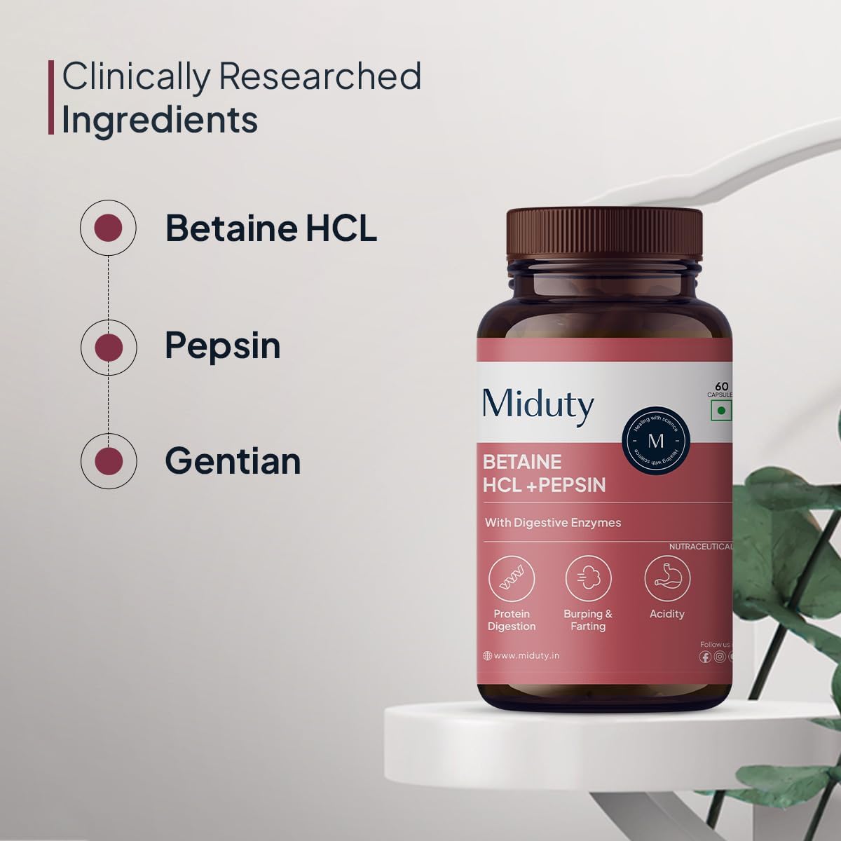Miduty Betaine HCl + Pepsin - Digestive Health Support - 60 Capsules - Image 6