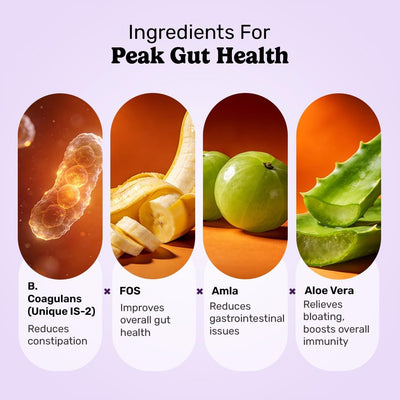 What's Up Gut Health Gummies - Probiotic Bacillus Coagulans - 30 Day Supply - Image 5