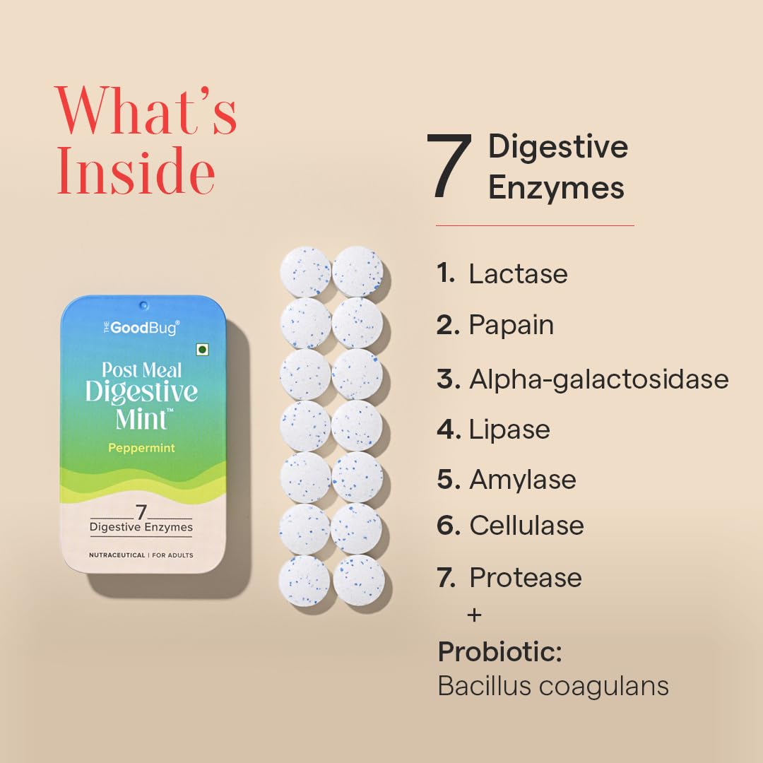 The Good Bug Post Meal Digestive Mint - Papermint, Pack of 14 - Image 3