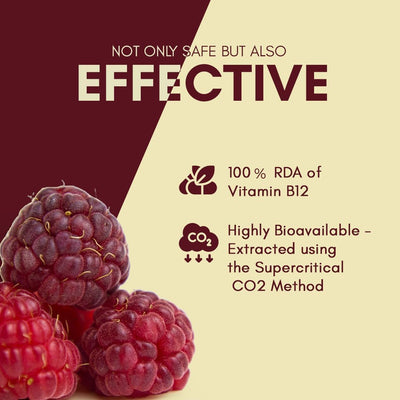Rasayanam Plant Based Vitamin B12 Capsules - 120 Count - Image 4