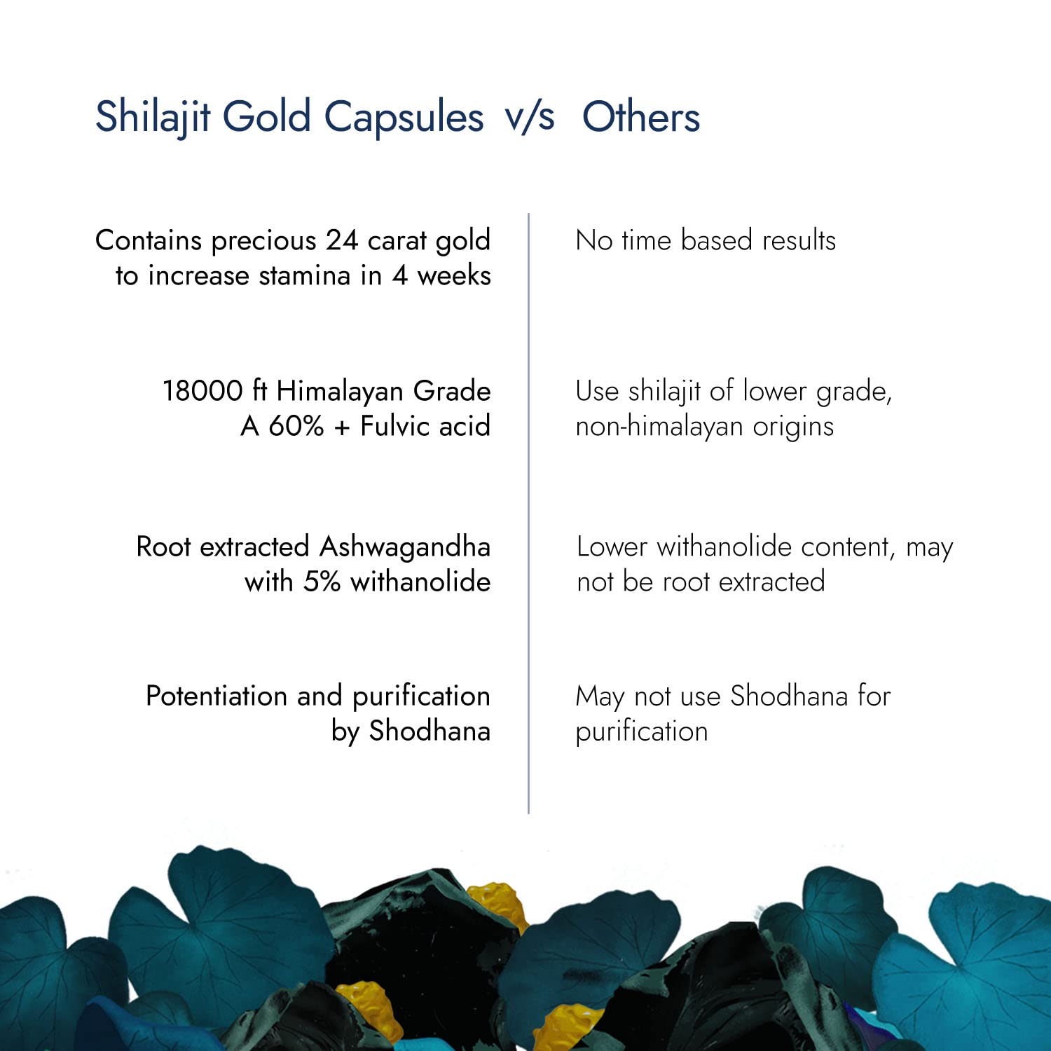 Kapiva Shilajit Gold Capsules 60 capsules (2/pack)