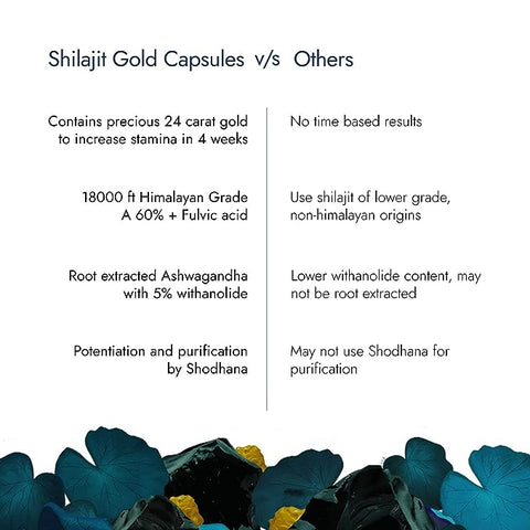 Kapiva Shilajit Gold 60 Capsules