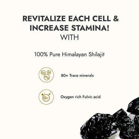 Kapiva Himalayan Shilajit Resin For Endurance and Stamina 20g Pack of 2