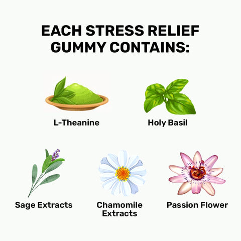 What's Up Wellness Stress Relief Gummies with Chamomile, Passion Flower, L-theanine, Sage & Holy Basil, Help reduce Stress 30 Gummy Pack