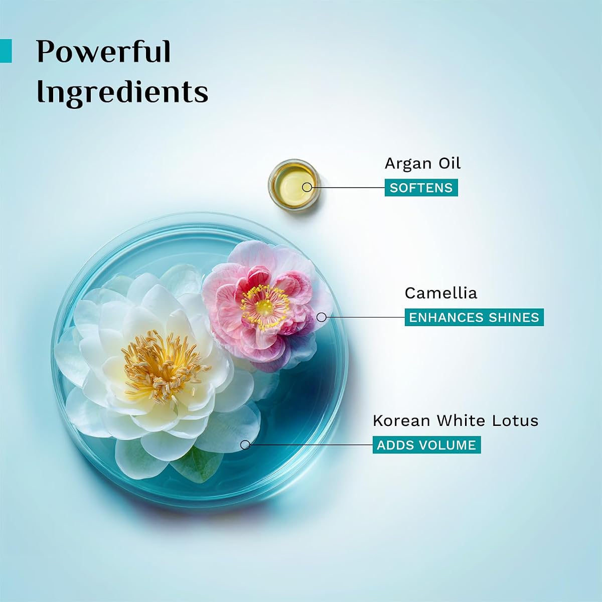 Pilgrim Argan Oil Hair Mask with White Lotus & Camellia - 200ml - Image 4