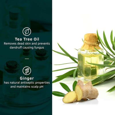 Ustraa Anti-Dandruff Shampoo with Ginger & Tea Tree - 250ml - Image 3