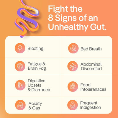 The Good Bug Gut Balance SuperGut Stick - Probiotics, Inulin, Vitamin C - 15 Days Pack - Image 2