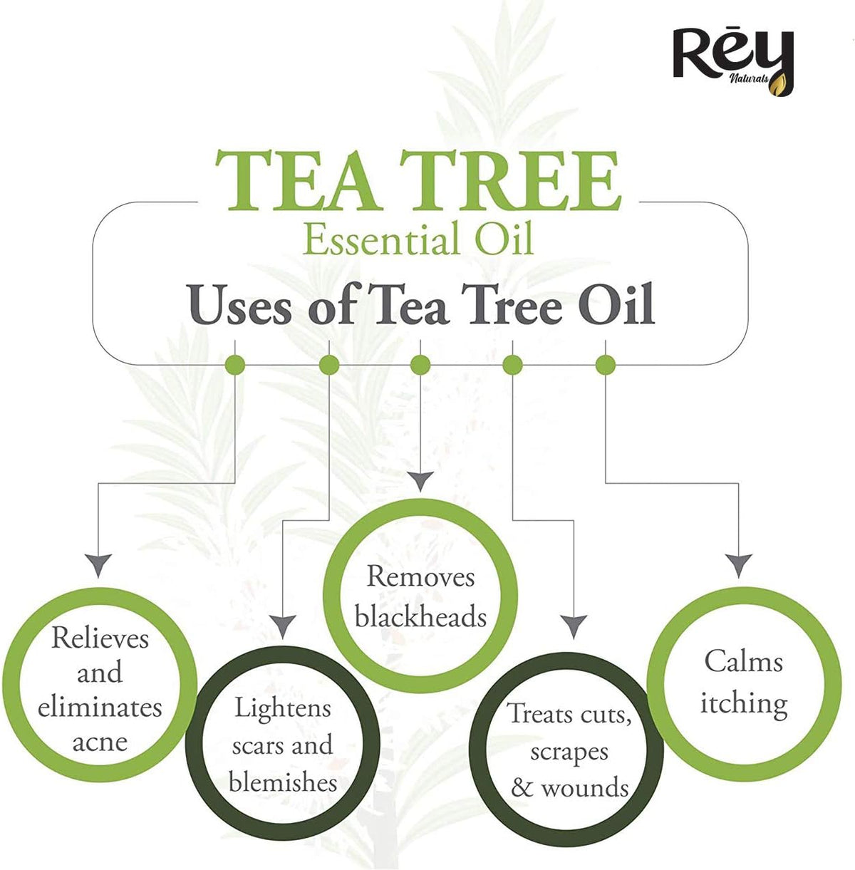 ReyNaturals Tea Tree Essential Oil for Hair, Skin & Face - 15 ml Pack of 2 - Image 7
