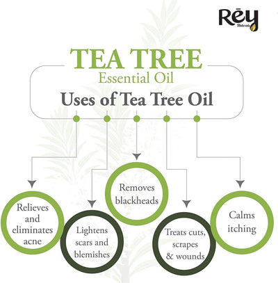 ReyNaturals Tea Tree Essential Oil for Hair, Skin & Face - 15 ml Pack of 2 - Image 7