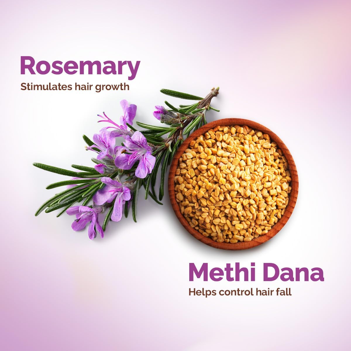 Mamaearth Rosemary Anti-Hairfall Shampoo with Methi Dana - 400ml - Image 4