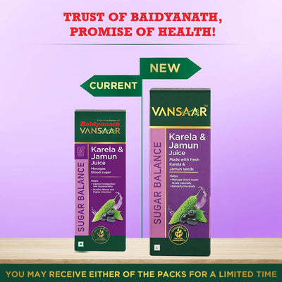 Vansaar Karela Jamun Juice - Functional Hydration, 1 Litre - Image 2