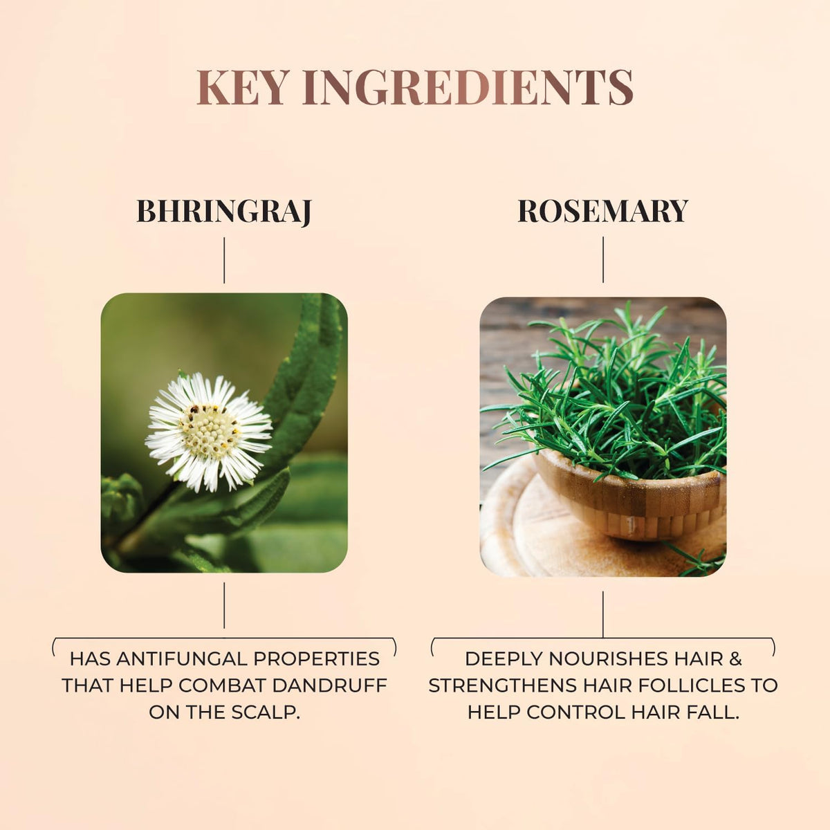 Just Herbs Bhringraj + Rosemary Nourishing Hair Cream, 100g - Image 5