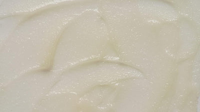  - Image 7