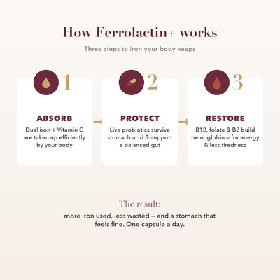 Valeo Ferrolactin+ Gentle Iron Supplement with Vitamin C & Probiotics - 60 Capsules - Image 6
