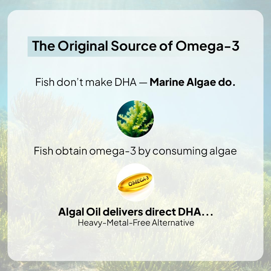 Miduty Veg Omega-3 Capsules - 500mg Algal DHA & EPA, 30 Pack - Image 3