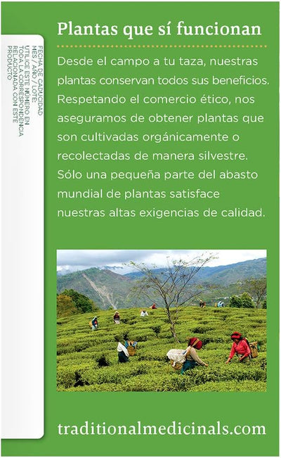  - Image 3