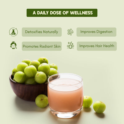 Rasayanam Pure Amla Juice - Herbal Ayurvedic Liquid, 750 ML - Image 6