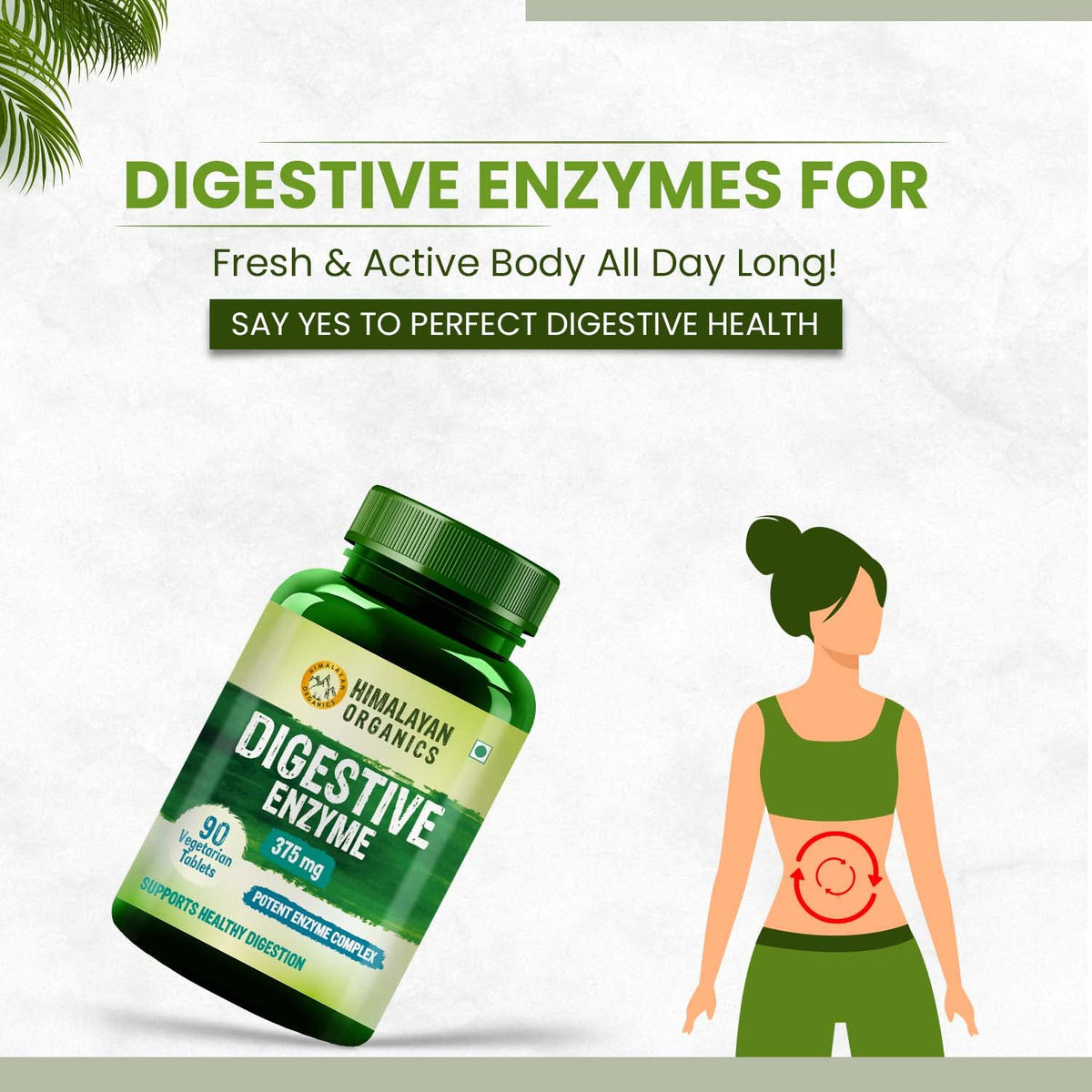 Himalayan Organics Digestive Enzyme Tablets 375mg - 90 Pack - Image 4