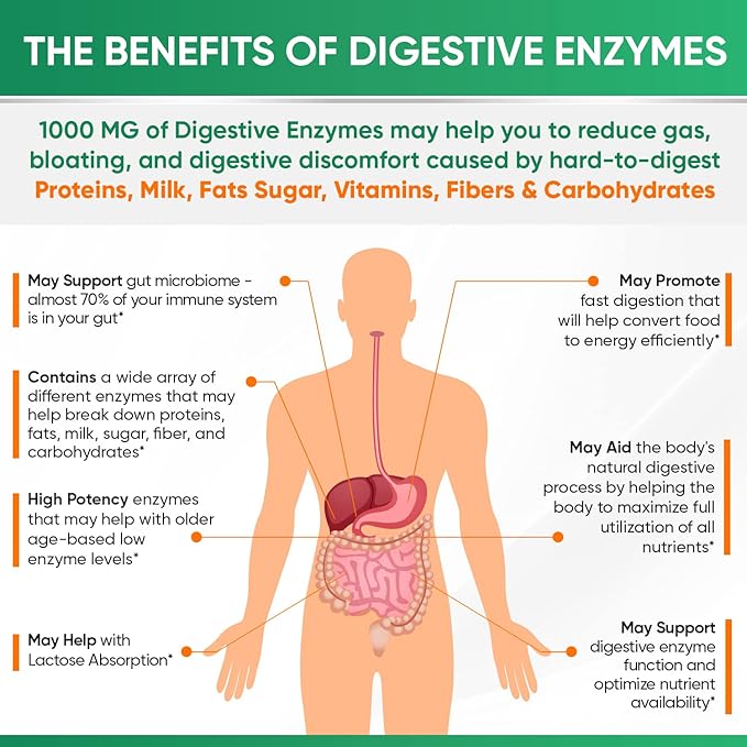 Wholesome Digestive Enzymes 1000MG with Probiotics & Prebiotics, 180 Capsules - Image 6
