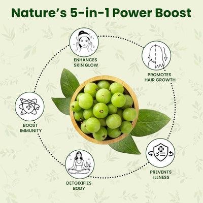 Vedapure Herbal Amla Juice - Natural Immune Booster, 500 ml - Image 4