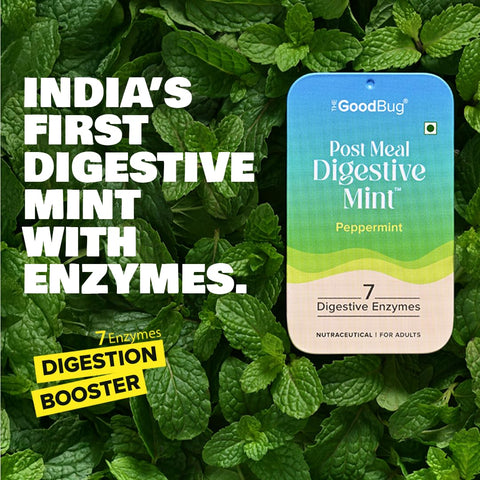 The Good Bug Post Meal Digestive Mint: Papermint (Pack of 14)