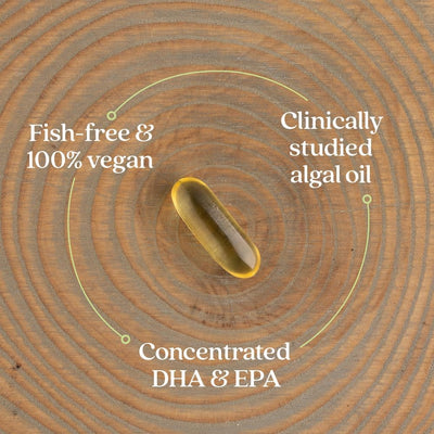 New Chapter Vegan Omega-3 Complex - Algae Oil DHA/EPA/DPA - 30 Softgels - Image 3