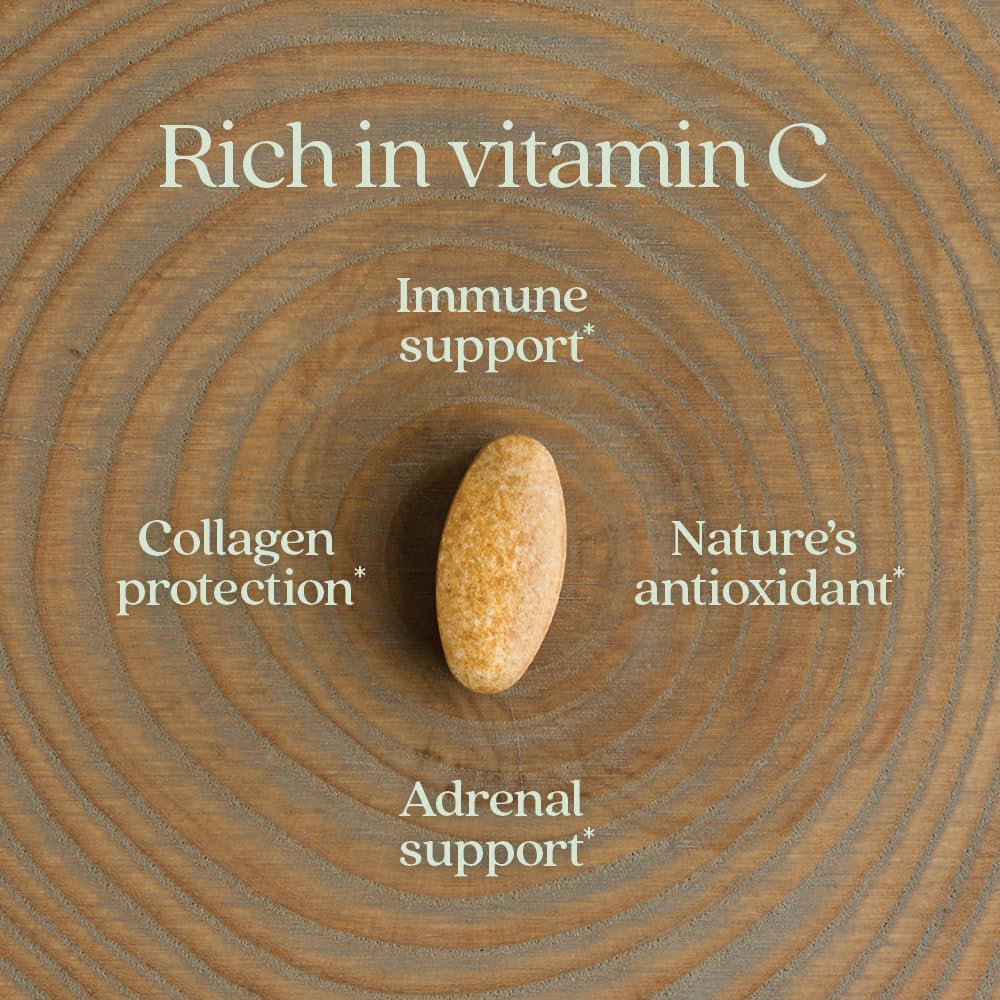 New Chapter Vitamin C + Elderberry - Fermented Capsules, 60 Count - Image 4