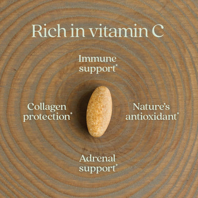 New Chapter Vitamin C + Elderberry - Fermented Capsules, 60 Count - Image 4