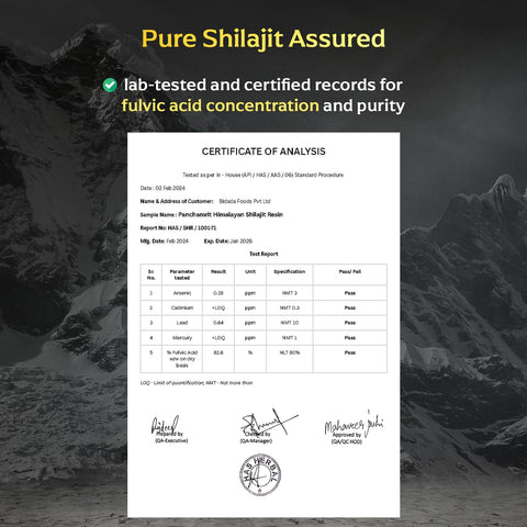 Panchamrit Himalayan Shudh Shilajit Resin 20g