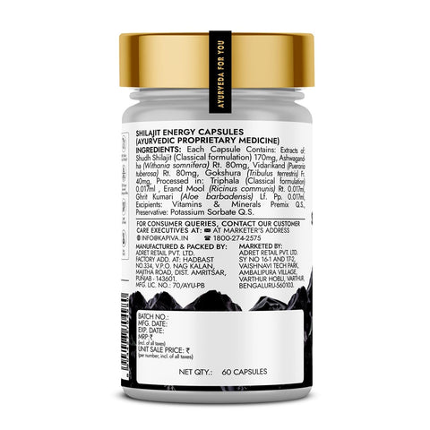 Kapiva Activ Foods Shilajit Energy Capsules 60