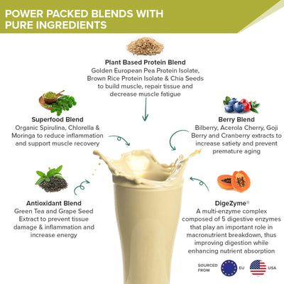 Wellbeing Nutrition Organic Vegan Plant Protein Isolate Powder - British Banoffee Pie, 32g - Image 4