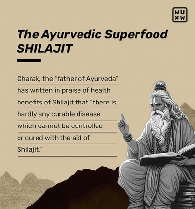 What's Up Shilajit Resin Gummies with 24 Carat Gold Dust - Imili Flavour, 30 Pieces - Image 7