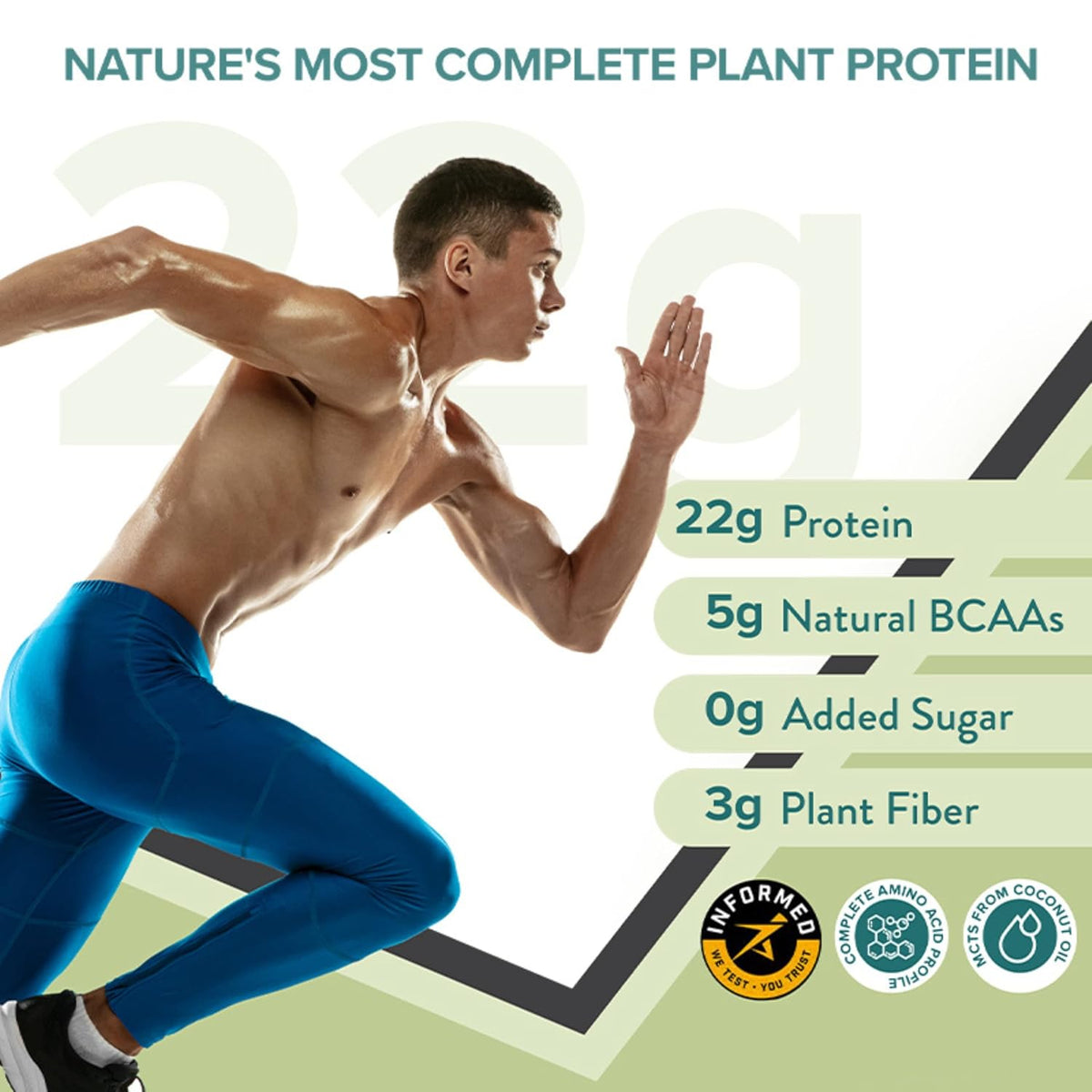 Wellbeing Nutrition Organic Vegan Plant Protein Isolate Powder - British Banoffee Pie Flavour, 500g - Image 2