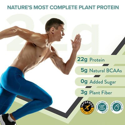 Wellbeing Nutrition Organic Vegan Plant Protein Isolate Powder - British Banoffee Pie Flavour, 500g - Image 2