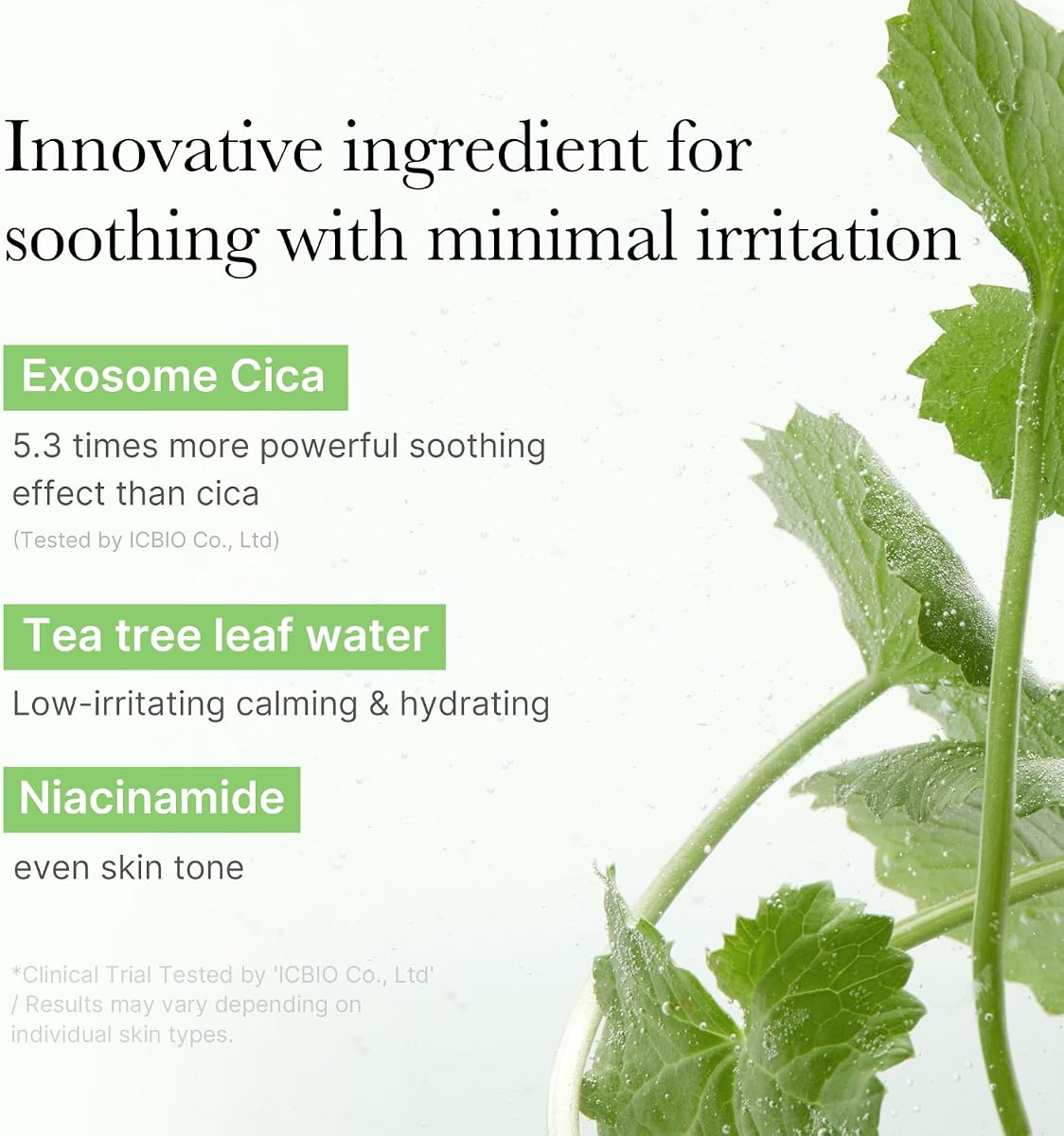 Medicube Exosome Cica Calming Pads with Tea Tree & Centella Asiatica - 100 Vegan Pads - Image 3