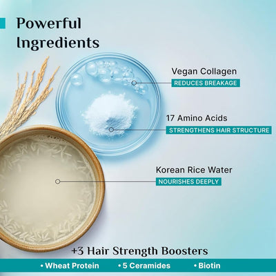 Pilgrim Korean Rice Water & Collagen Damage Repair Shampoo - 400 ml - Image 5