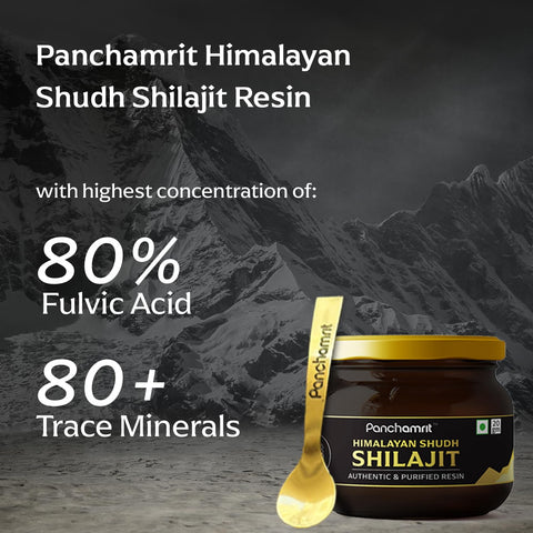 Panchamrit Himalayan Shudh Shilajit Resin 20g