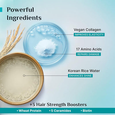 Pilgrim Korean Rice Water & Collagen Advanced Damage Repair Conditioner - 200ml - Image 5